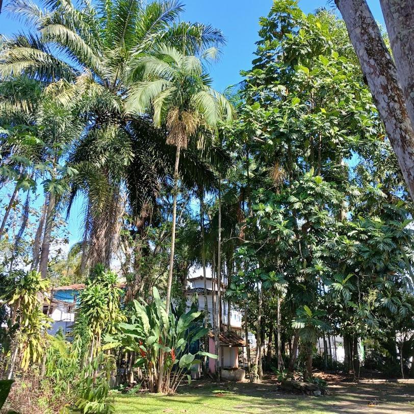 Villa Dos Passaros Paraty Hospedagem Exterior photo